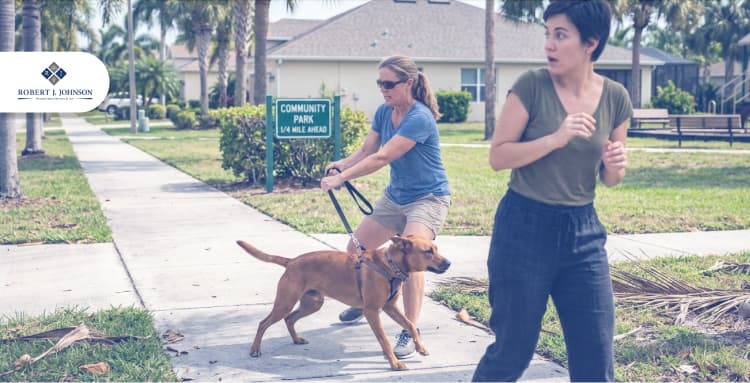 Florida Dog Leash Laws and Owner Responsibility_ What Every Dog Bite Victim Should Know