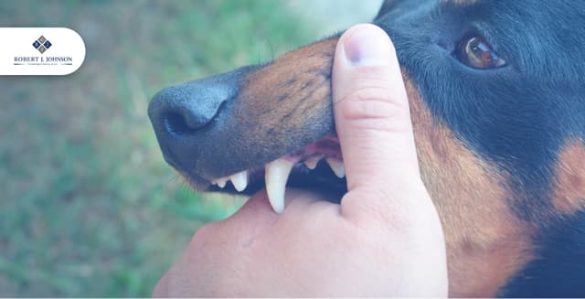 How to Prove Fault in a Dog Bite Case